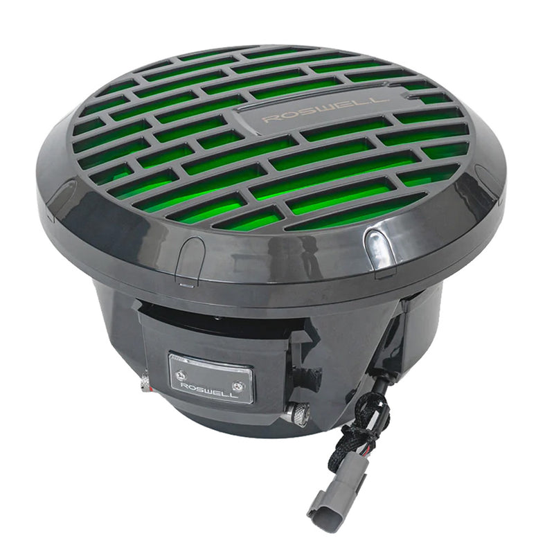 Load image into Gallery viewer, Roswell RMA 10 Subwoofer  Black  250W RMS  500W Peak Power C9201801
