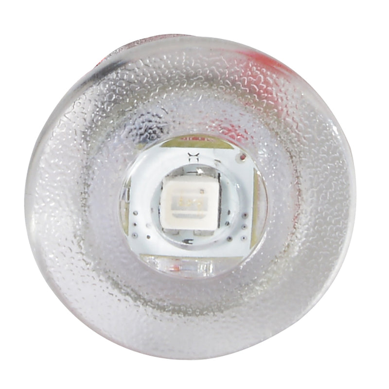 Load image into Gallery viewer, Lumitec Newt  Livewell  Courtesy Light  Blue Dimming 101085

